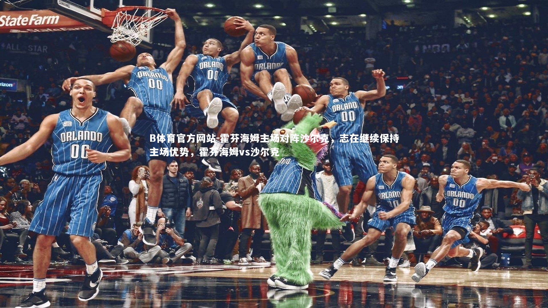 霍芬海姆主场对阵沙尔克，志在继续保持主场优势，霍芬海姆vs沙尔克